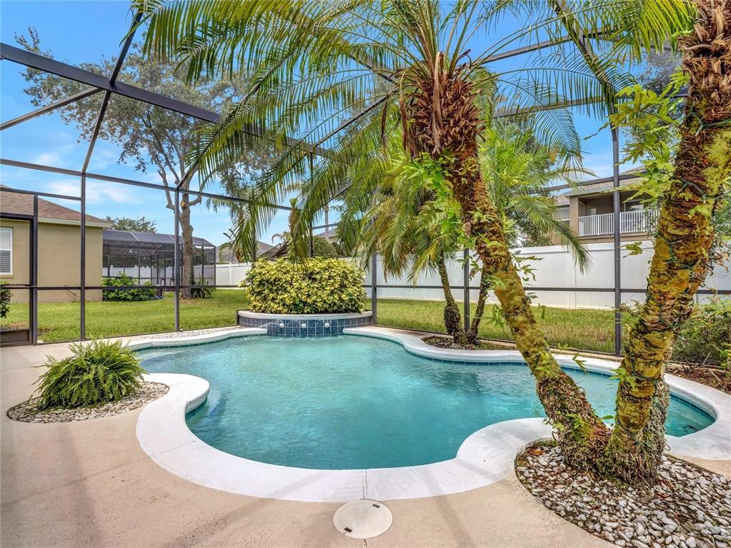 10023 Ians Ridge Road Orlando, FL 32832 - Photo 40 of 60 a view of a backyard
