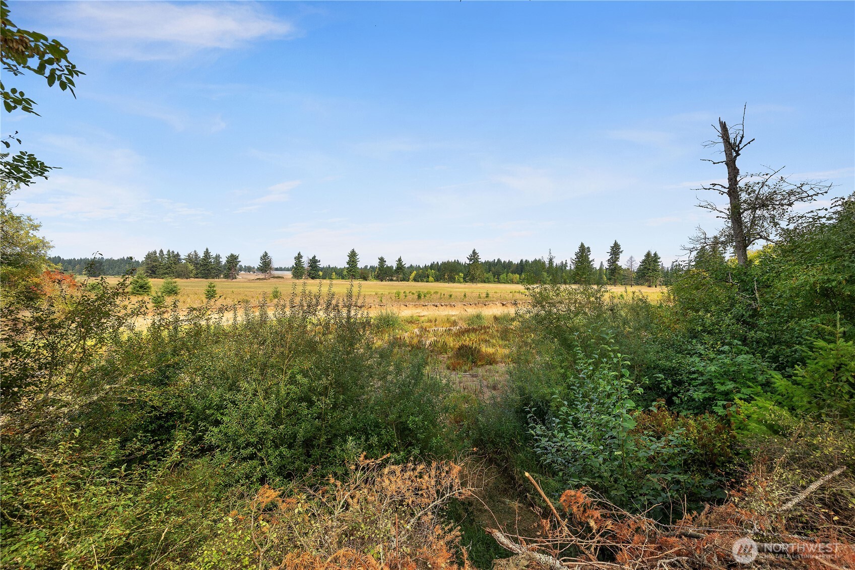16830 Reichel Road Southeast Rainier, WA 98576 - Photo 36 of 40 Gallery Image 36