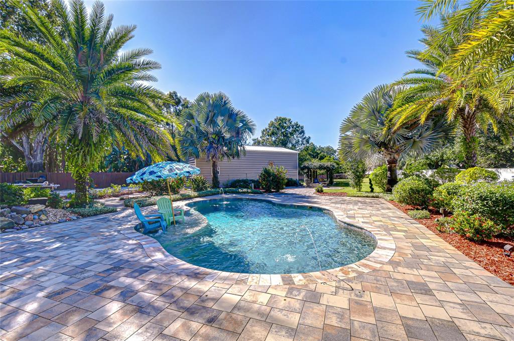 15306 Spruson Street Odessa, FL 33556 - Photo 5 of 56