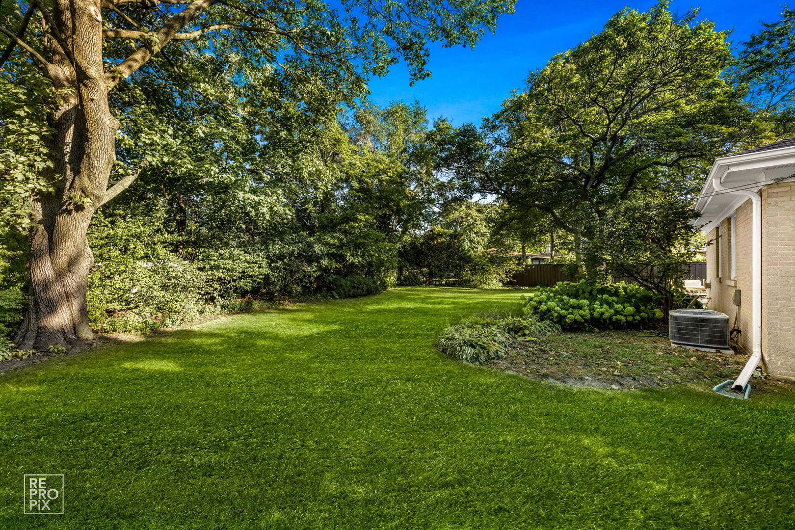 6872 North Loron Avenue Chicago, IL 60646 - Photo 25 of 25 a view of a green field with trees