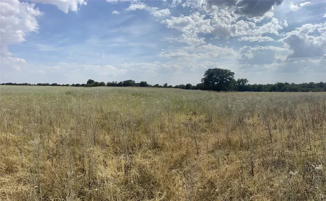 $67,500 | Lot 8 Blue Lacy Lane, Anson, TX 79501