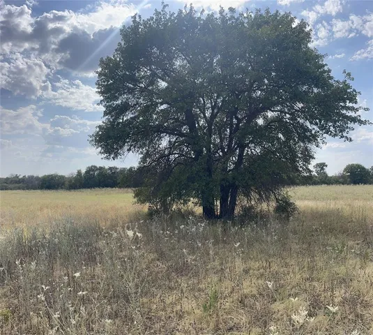 $67,500 | Lot 8 Blue Lacy Lane, Anson, TX 79501
