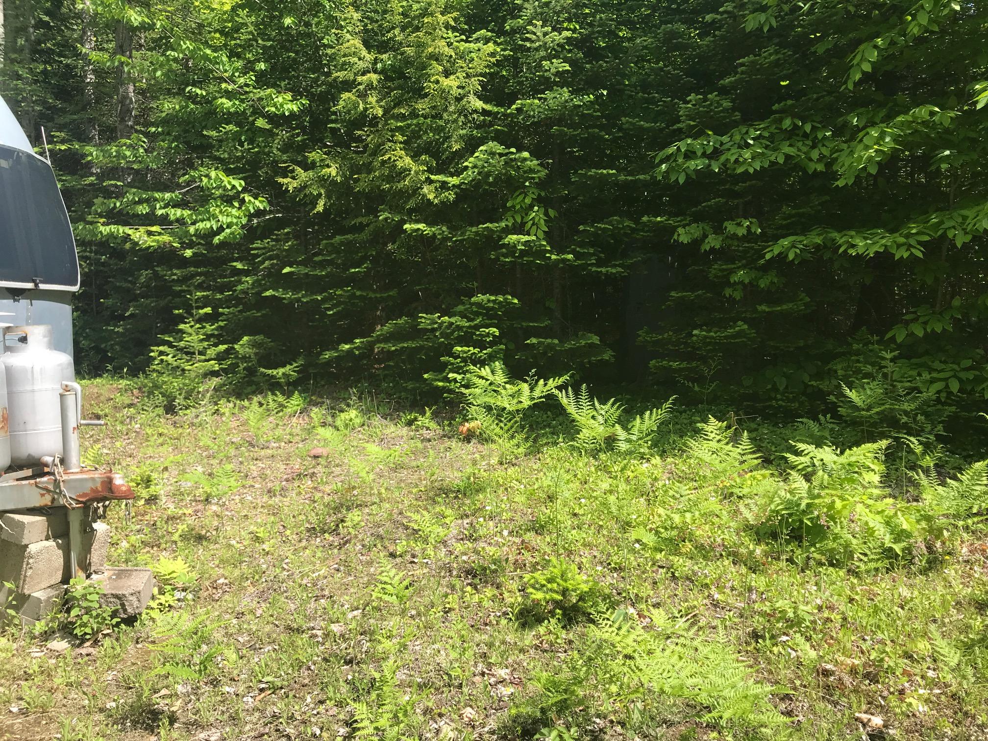 Tbd Milo Road Sebec, ME 04481 - Photo 5 of 18 IMG_2139 - Copy
