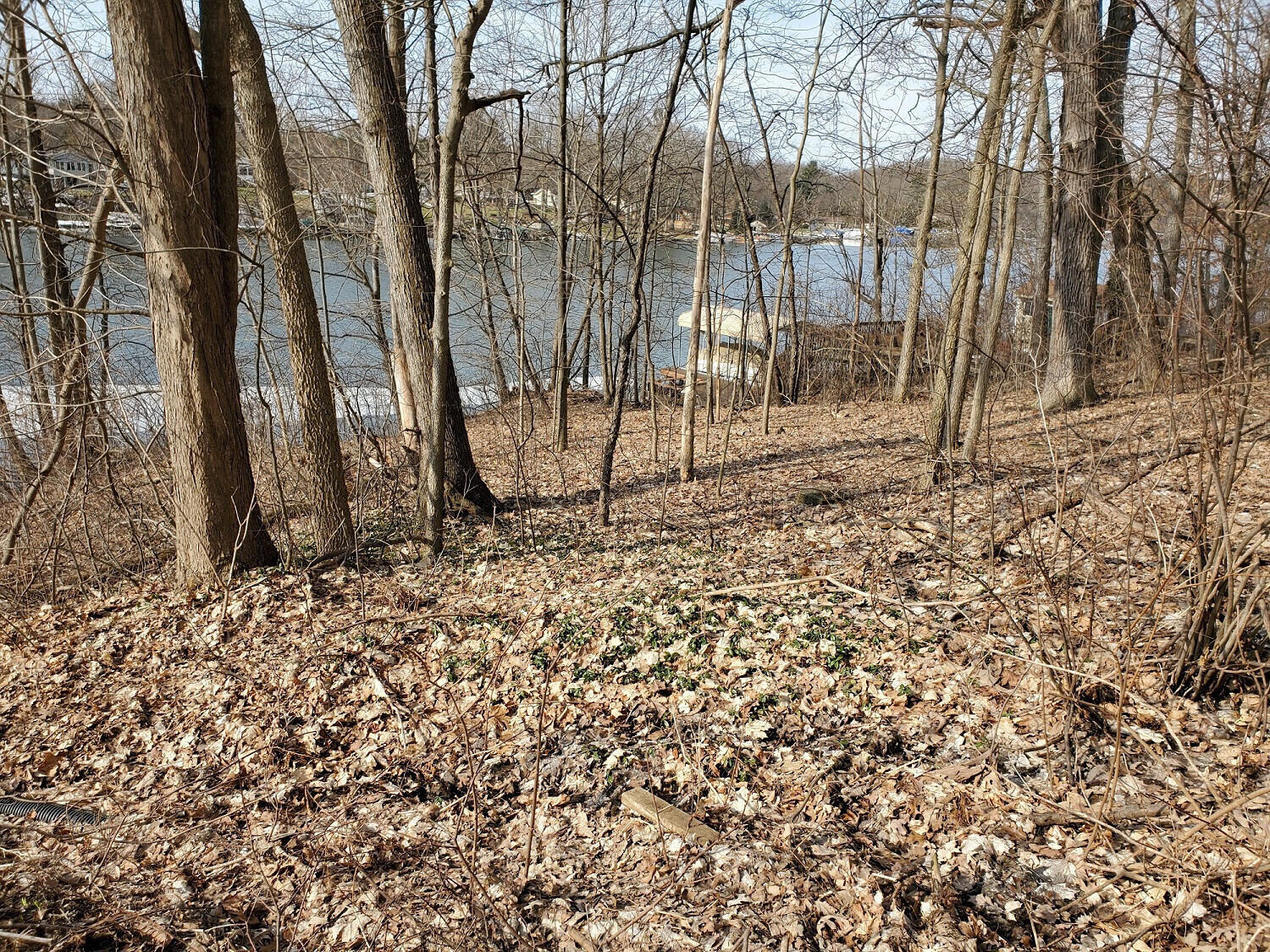 7174 Cascade Road Southeast Grand Rapids, MI 49546 - Photo 4 of 10 5