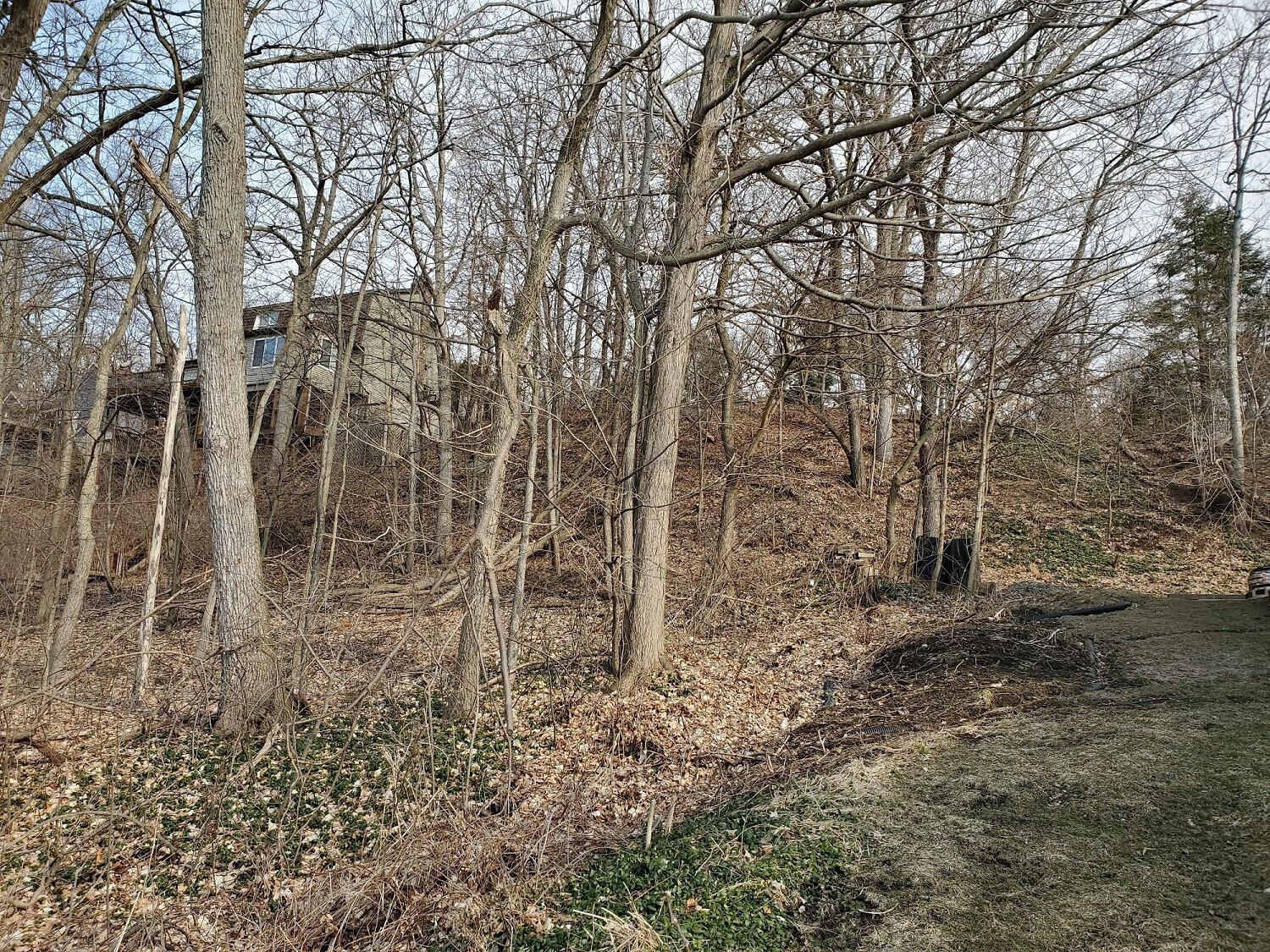 7174 Cascade Road Southeast Grand Rapids, MI 49546 - Photo 6 of 10 7