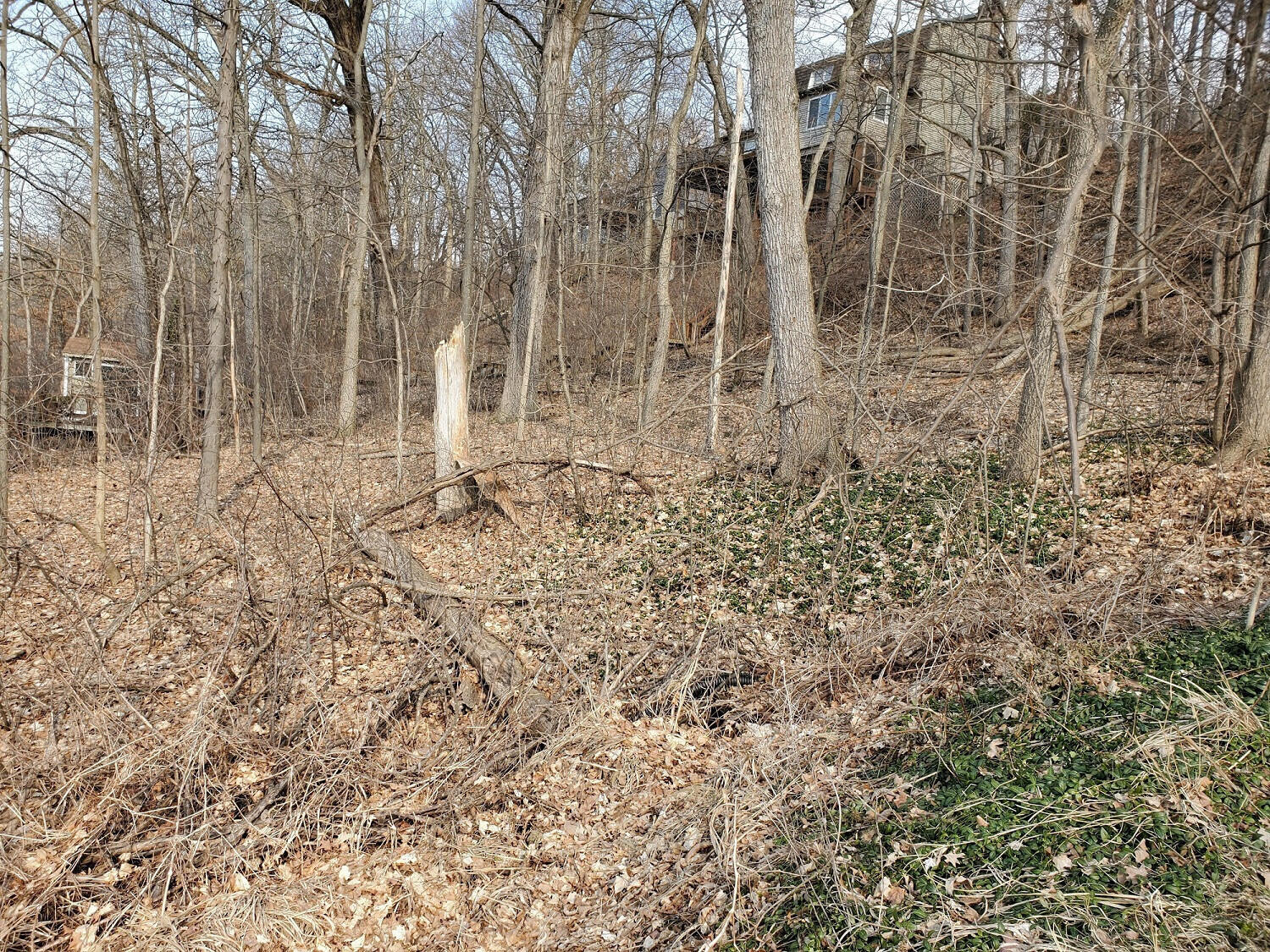 7174 Cascade Road Southeast Grand Rapids, MI 49546 - Photo 7 of 10 8