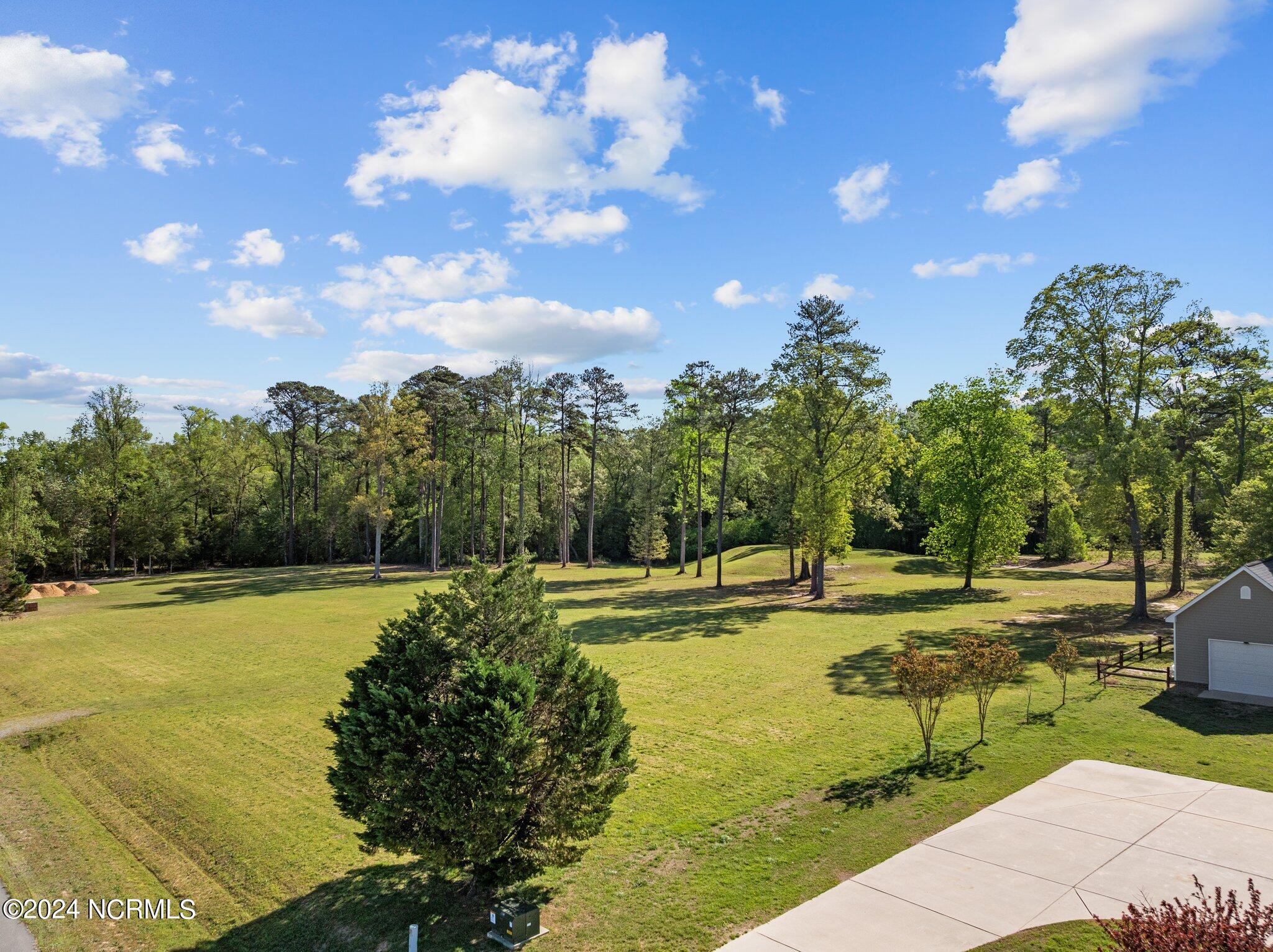 302 Golf Course Drive Pinetops, NC 27864 - Photo 1 of 34 0-web-or-mls-DJI_0945