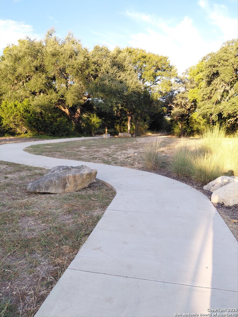 5317 Trellised Lane Bulverde, TX 78163 - Photo 24 of 47