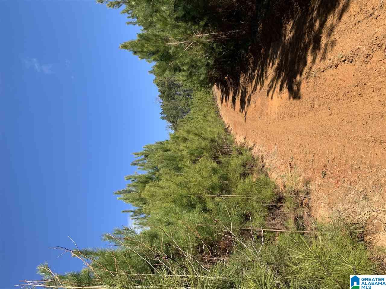 79 Highway 79 Cleveland, AL 35049 - Photo 35 of 36