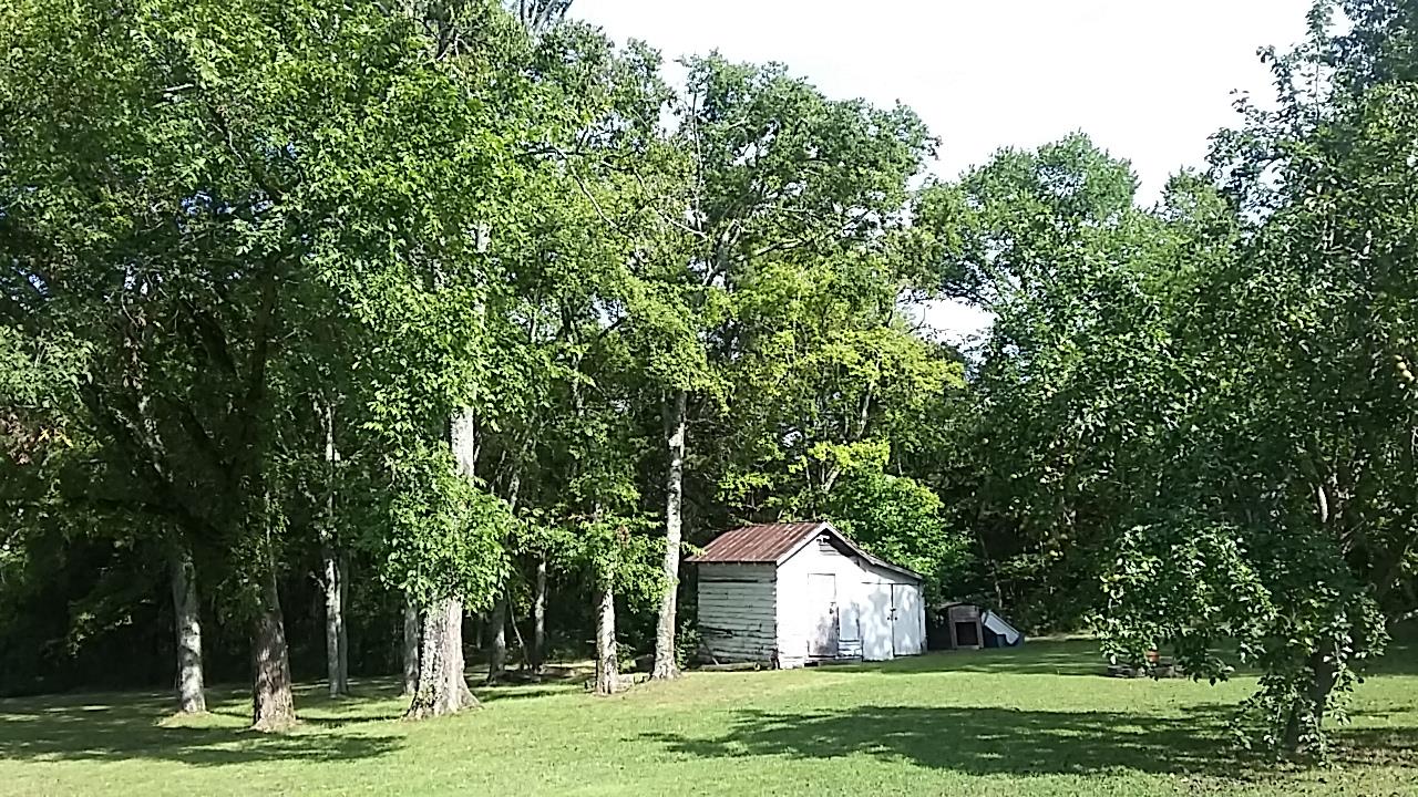 4467 Kedron Road Spring Hill, TN 37174 - Photo 13 of 14 a front view of a house with a yard