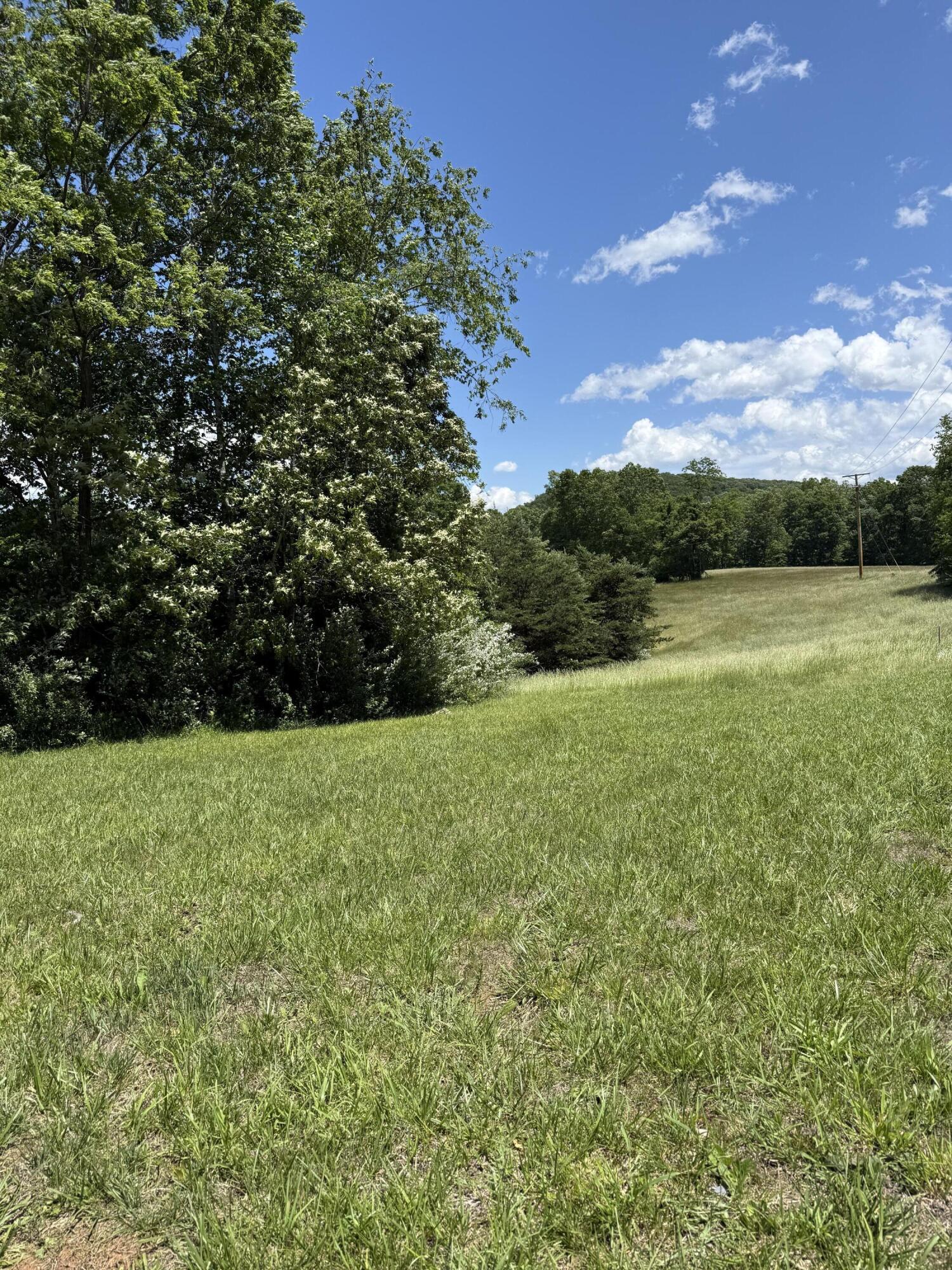 0 Goodview Road Goodview, VA 24095 - Photo 3 of 7 a view of outdoor space and yard