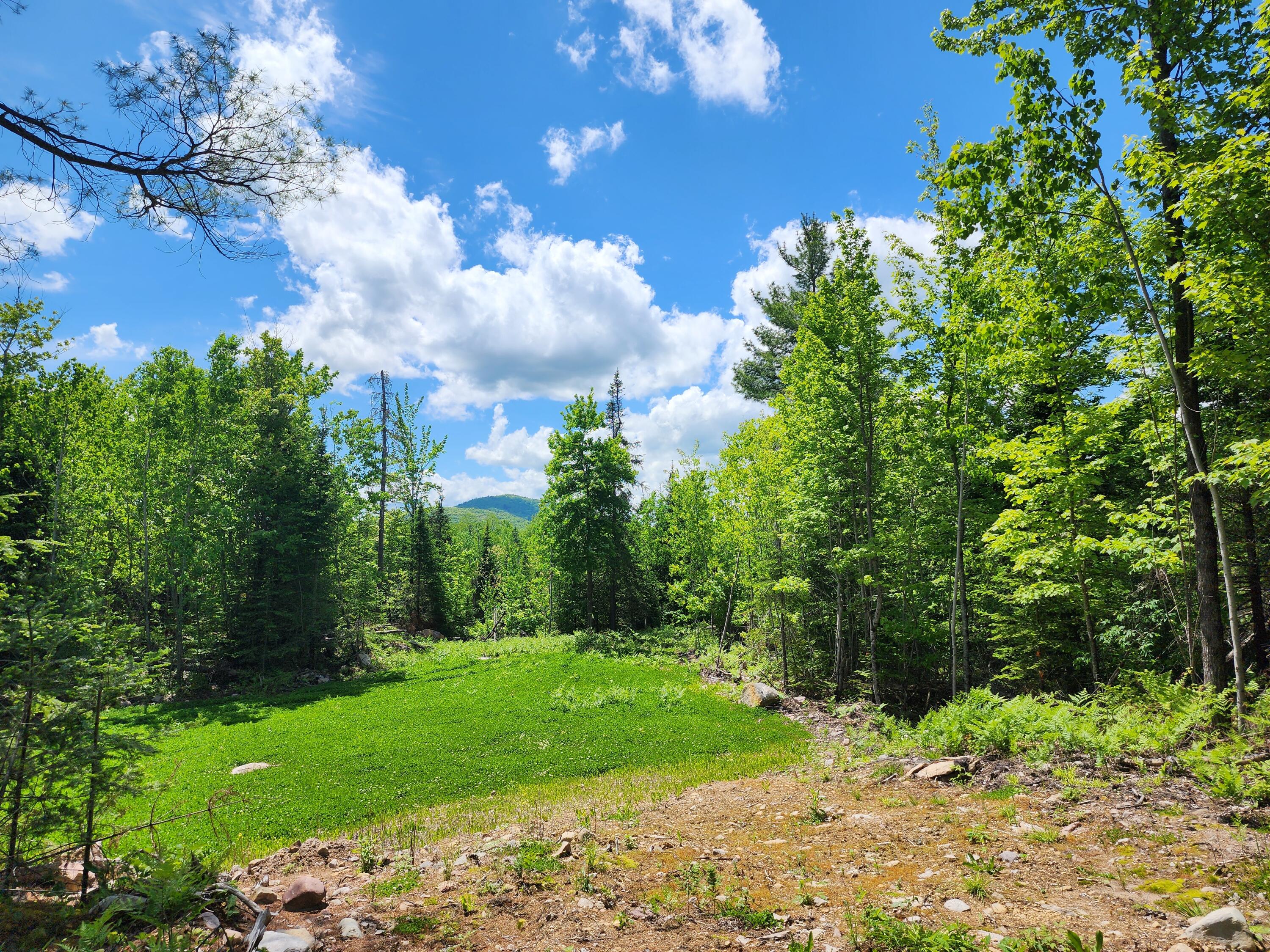 1825 Guide Board Road Schuyler Falls, NY 12985 - Photo 50 of 59 Gallery Image 50
