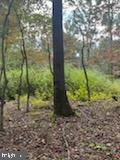 11231 Furnace Road Blue Ridge Summit, PA 17214 - Photo 11 of 17 Gallery Image 11