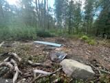 11231 Furnace Road Blue Ridge Summit, PA 17214 - Photo 2 of 17 Perc Site