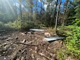 11231 Furnace Road Blue Ridge Summit, PA 17214 - Photo 3 of 17 Perc Site