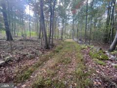 11231 Furnace Road Blue Ridge Summit, PA 17214 - Photo 5 of 17 Road