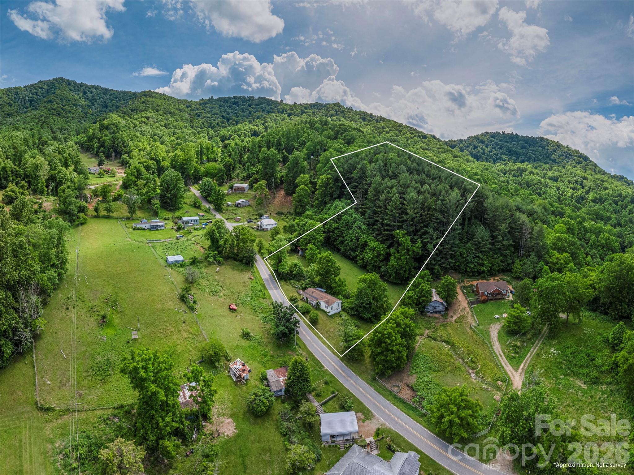 5622 Dutch Cove Road Canton, NC 28716 - Photo 22 of 26