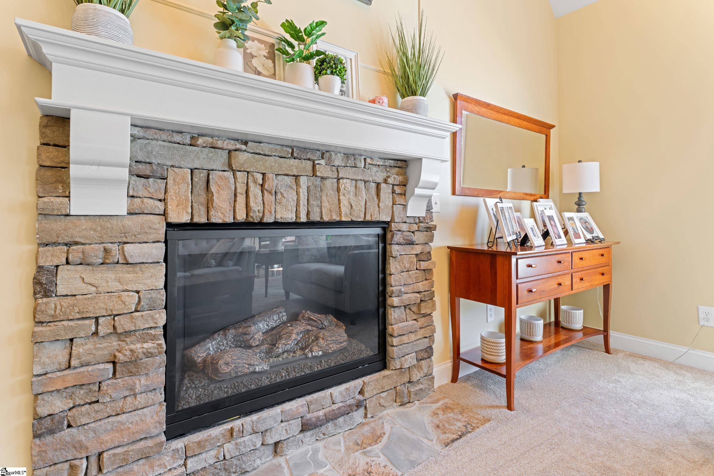 235 Ebbitt Court Greer, SC 29651 - Photo 15 of 44