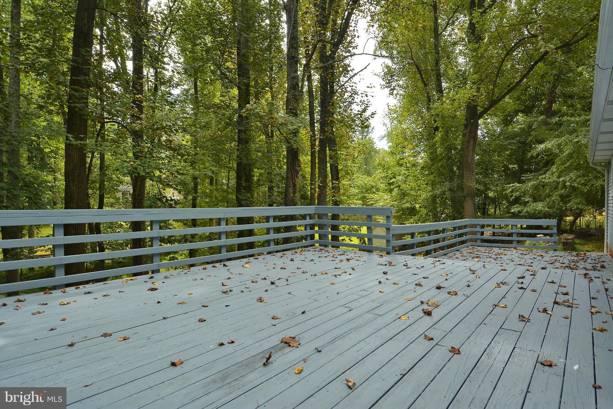 312 Stonington Road Silver Spring, MD 20902 - Photo 26 of 30 Deck 1