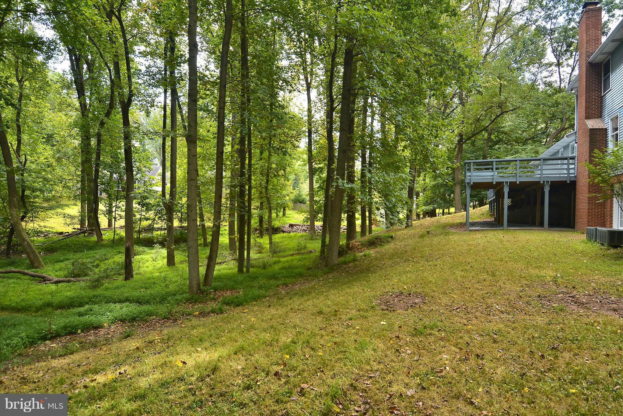 312 Stonington Road Silver Spring, MD 20902 - Photo 29 of 30 Back Yard