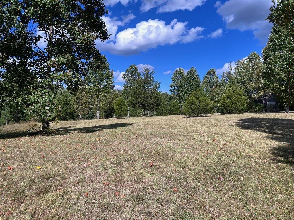 North Sand Ridge Olive Hill, KY 41164 - Photo 2 of 6