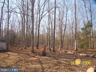 85 Crow Pond Road Elmer, NJ 08318 - Photo 3 of 6