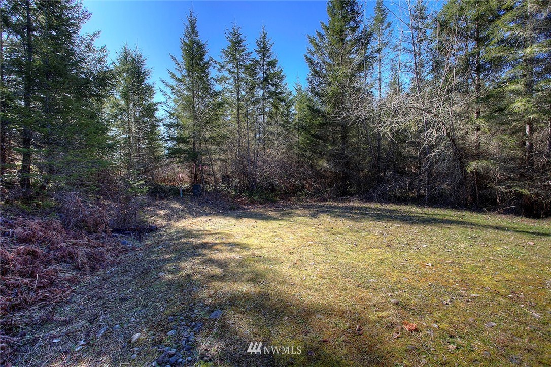 0 Tanwax Road South Roy, WA 98580 - Photo 8 of 15 Gallery Image 8