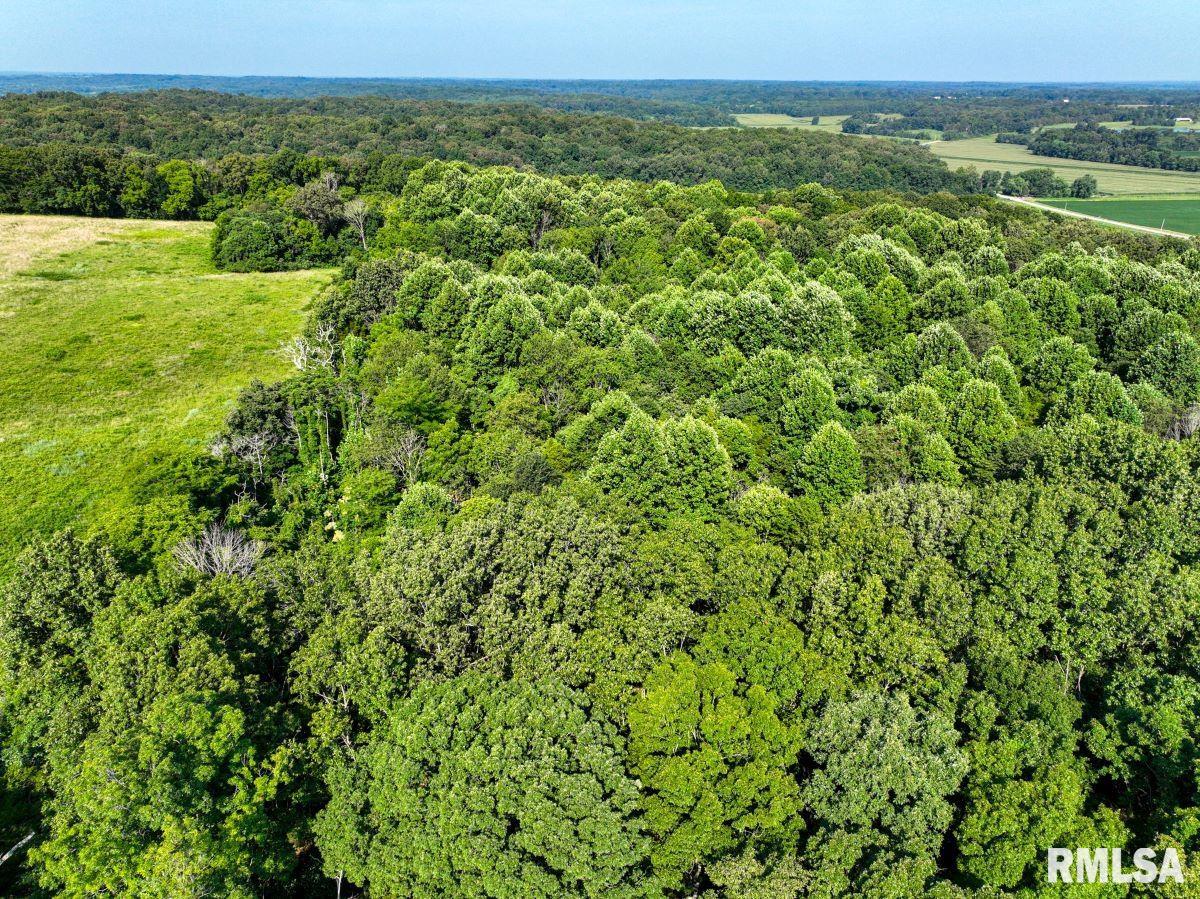 1923 Stonefort Road Stonefort, IL 62987 - Photo 26 of 33