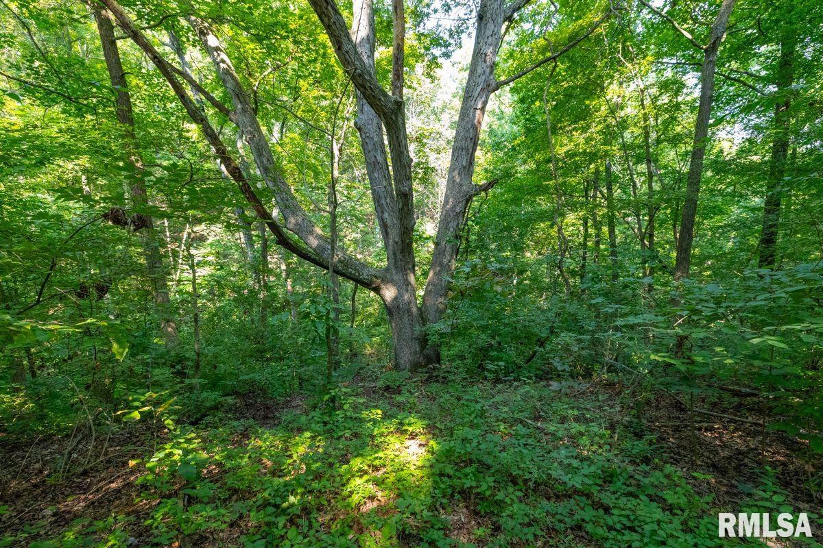 1923 Stonefort Road Stonefort, IL 62987 - Photo 27 of 33