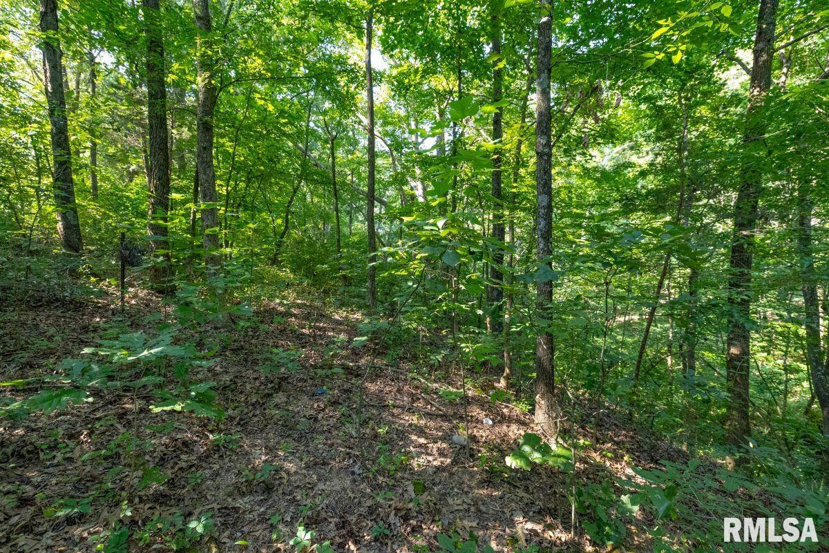 1923 Stonefort Road Stonefort, IL 62987 - Photo 28 of 33