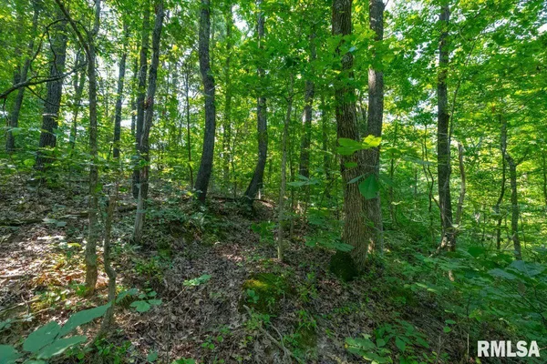 $130,000 | 1923 Stonefort Road, Stonefort, IL 62987