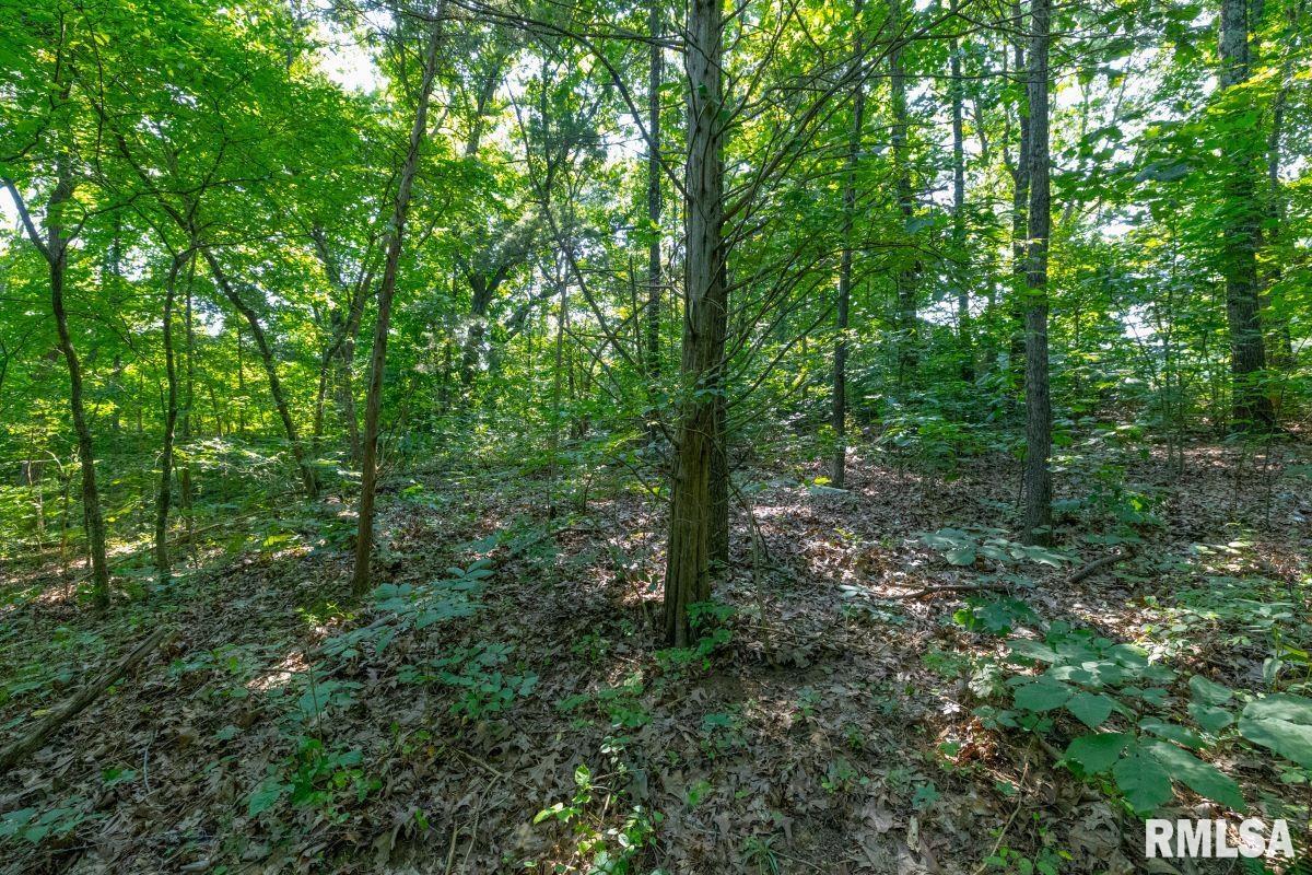 1923 Stonefort Road Stonefort, IL 62987 - Photo 30 of 33