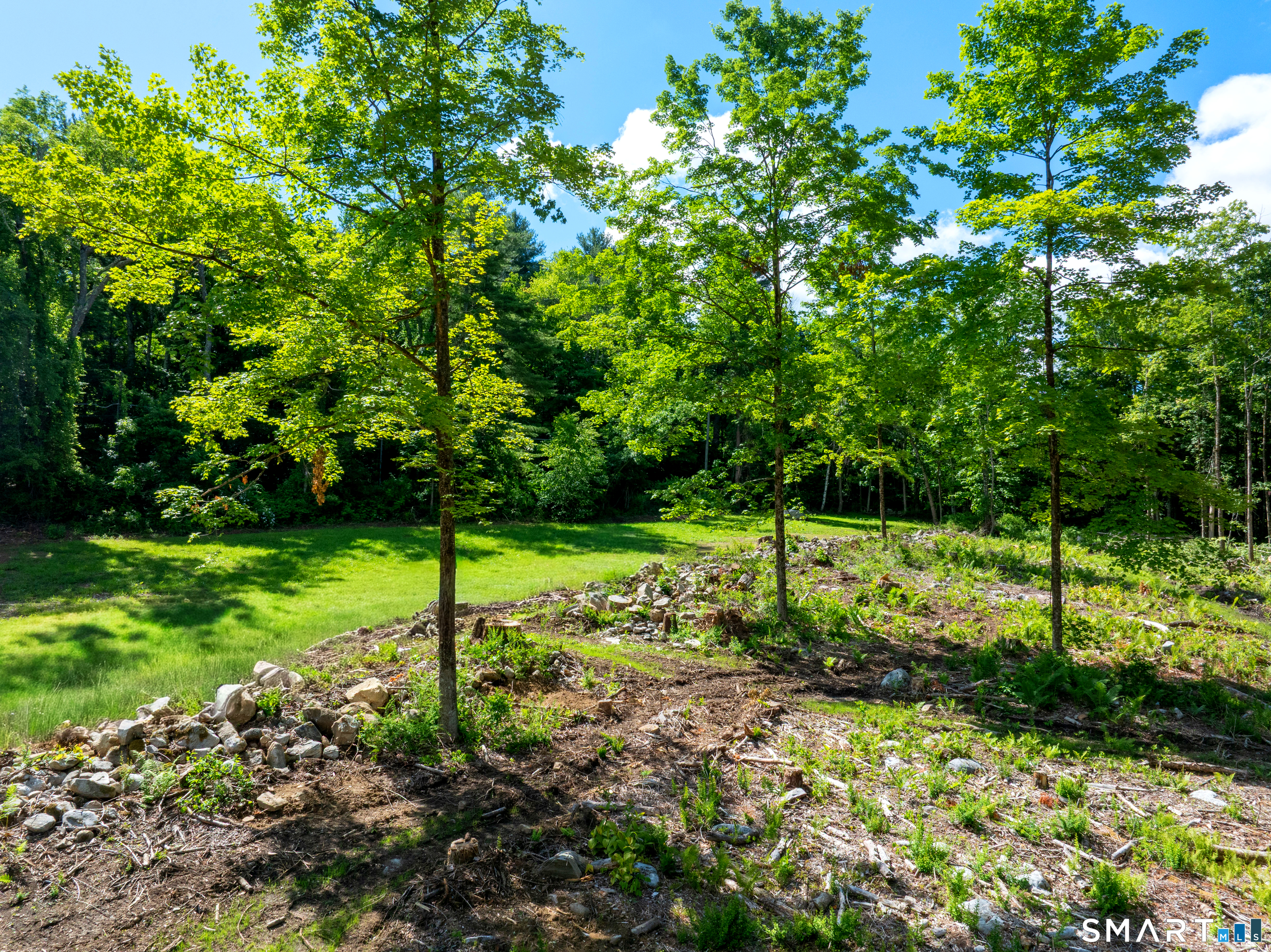 331 Town Street Cornwall, CT 06796 - Photo 4 of 9