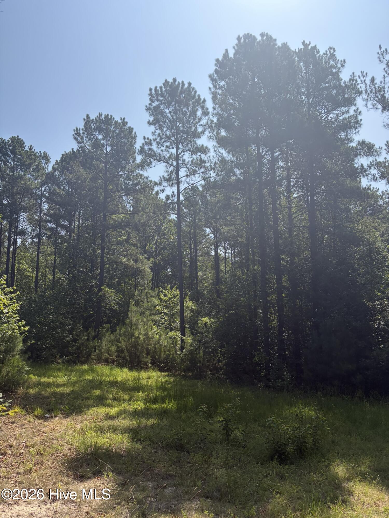 Tbd Green Road Ellerbe, NC 28338 - Photo 16 of 23