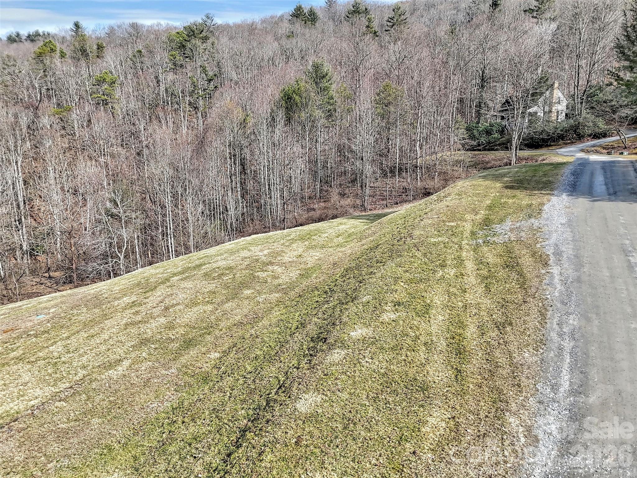 0 Seay Mountain Road Waynesville, NC 28785 - Photo 13 of 17