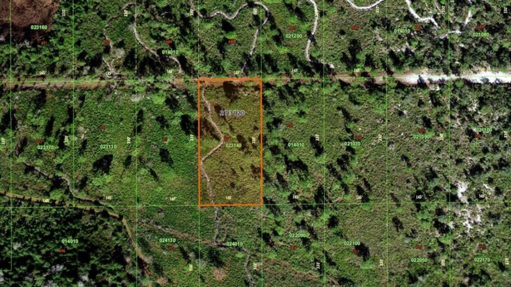 Rhoden Road Frostproof, FL 33843 - Photo 1 of 1 a view of a lush green forest with lots of trees