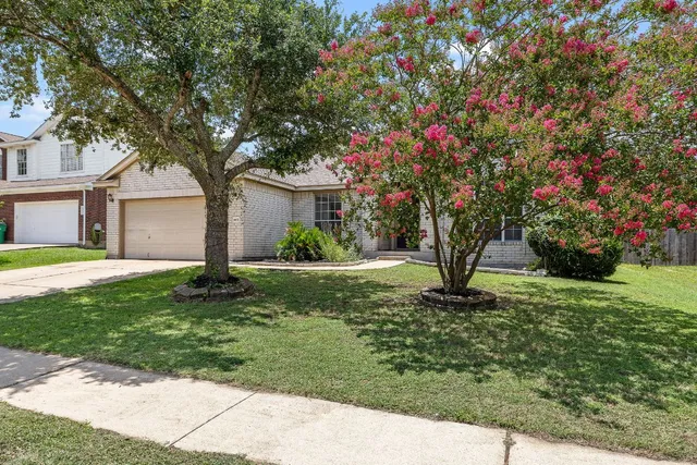 a tree in front of a white house