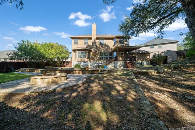 a view of a yard with plants and large trees