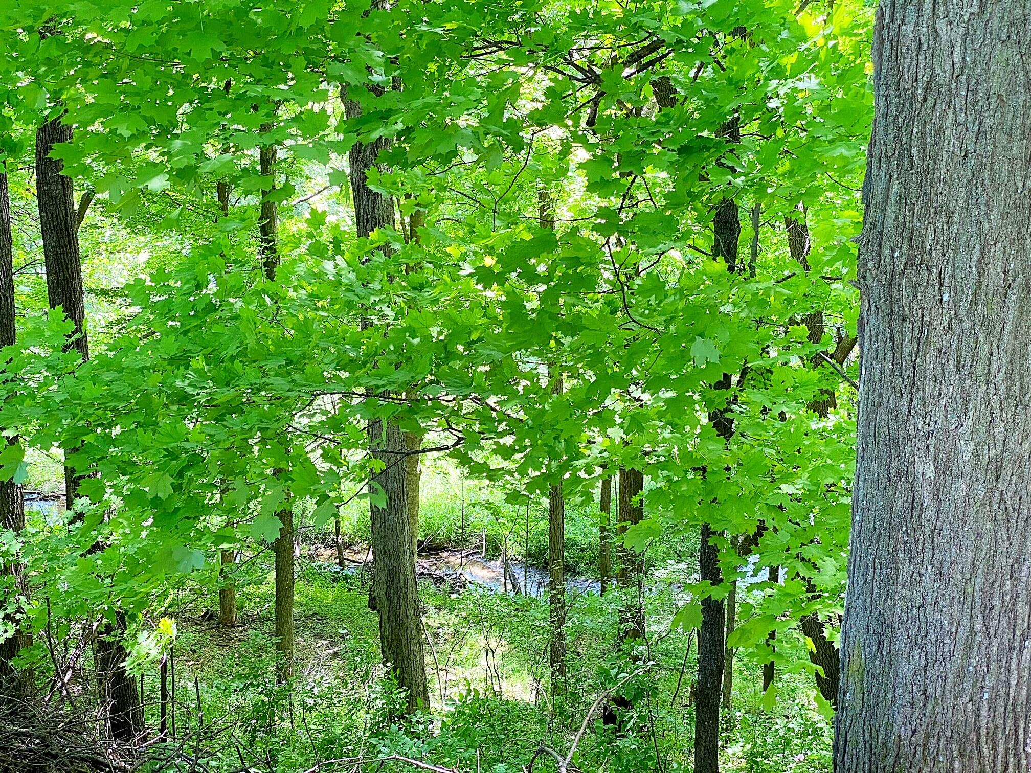 Lt2 Sylvan Drive Manitowoc, WI 54220 - Photo 1 of 1 IMG_0107