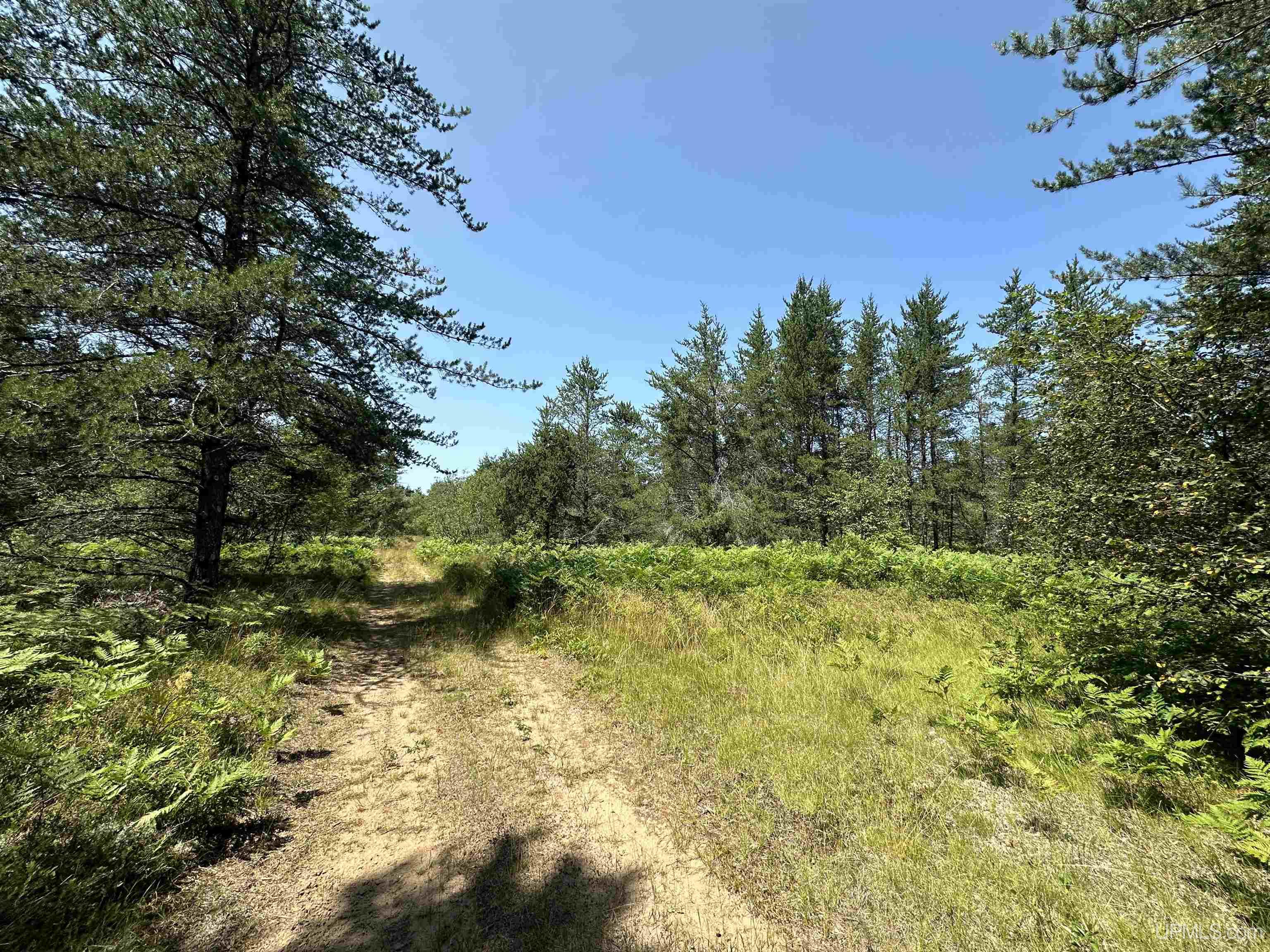 2020-2050 Co Road Little Lake, MI 49833 - Photo 25 of 39
