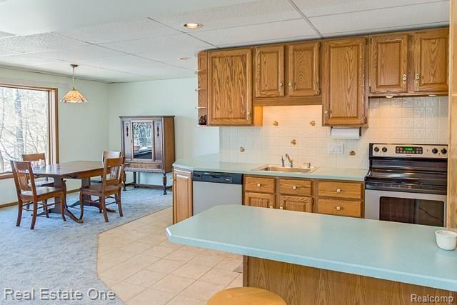 594 Highland Road Chelsea, MI 48118 - Photo 27 of 72 Image_51.jpg