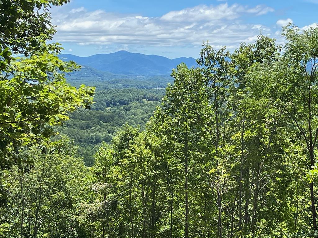 10 Longview Ridge Hayesville, NC 28904 - Photo 5 of 12 Gallery Image 5