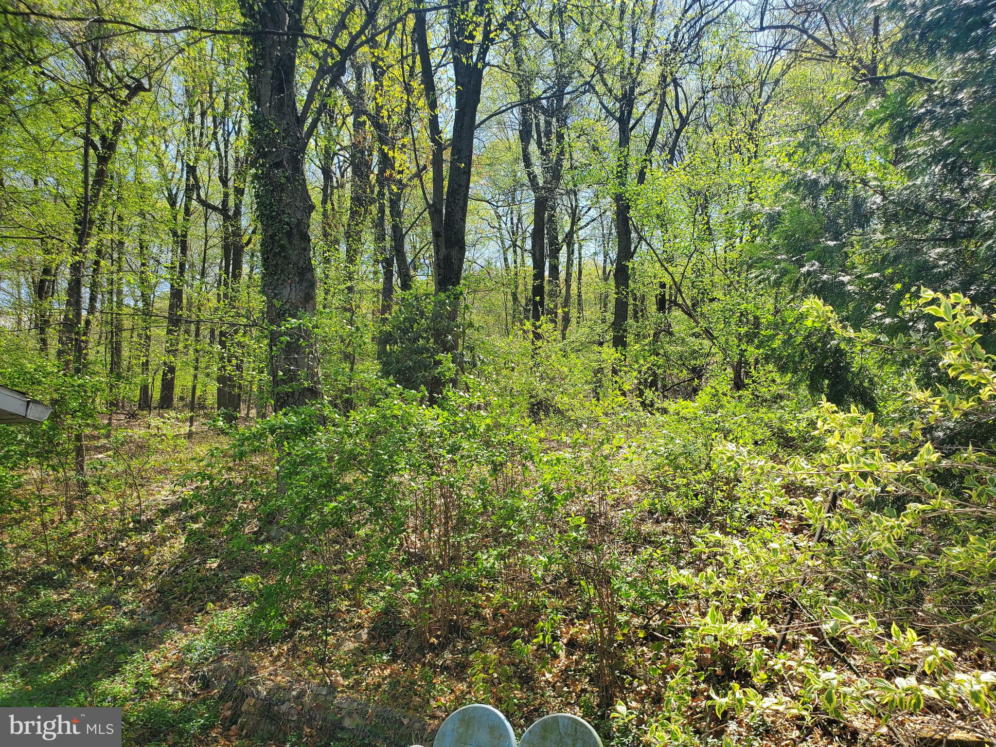 2638 Fairview Avenue Reading, PA 19606 - Photo 11 of 24 a backyard of a house with lots of plants and trees