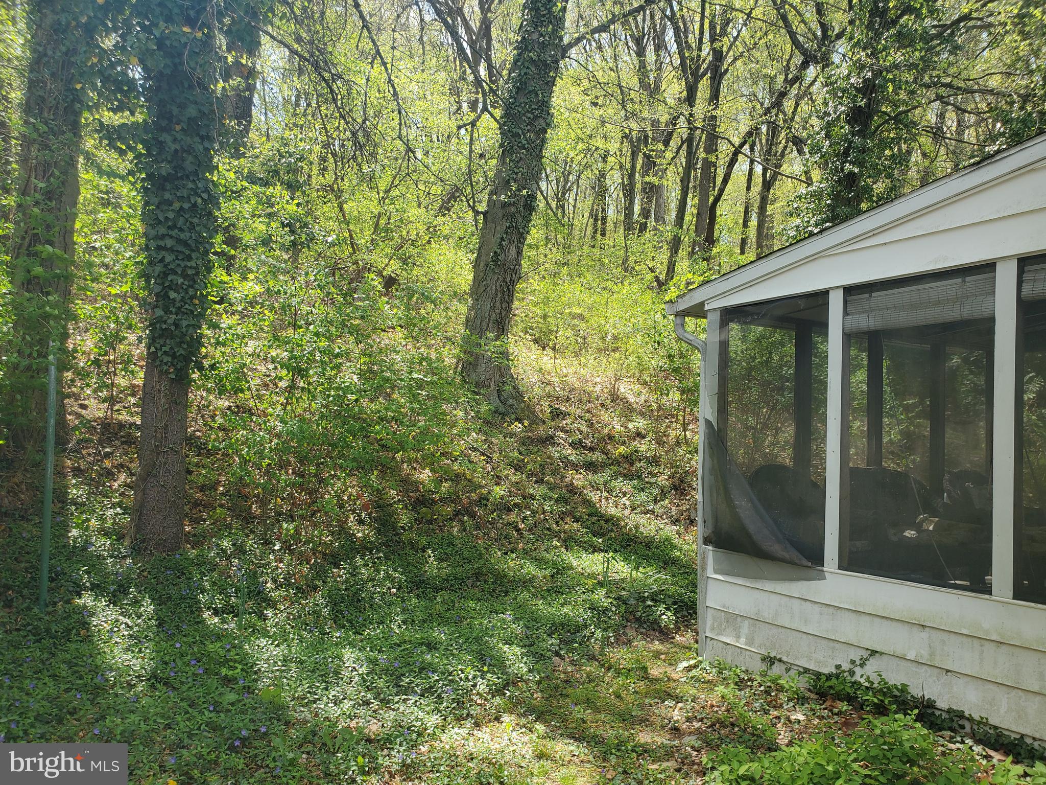 2638 Fairview Avenue Reading, PA 19606 - Photo 6 of 24 a view of a window of the house and trees
