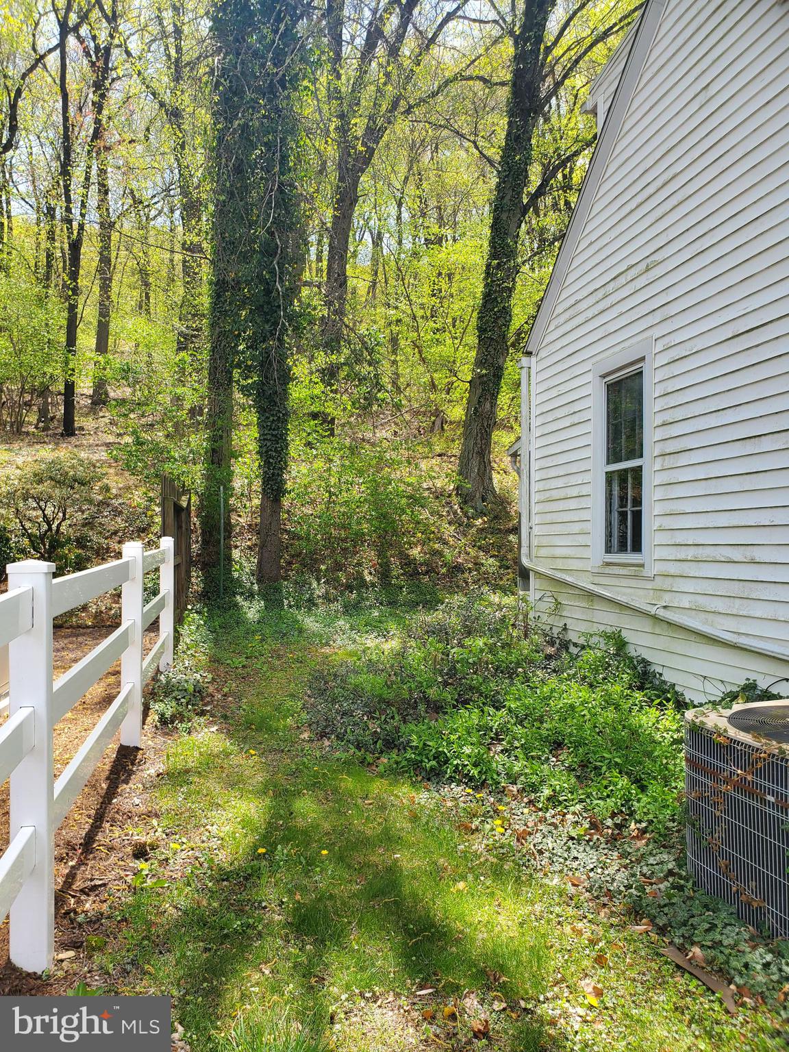2638 Fairview Avenue Reading, PA 19606 - Photo 7 of 24 a view of a backyard with plants and large trees