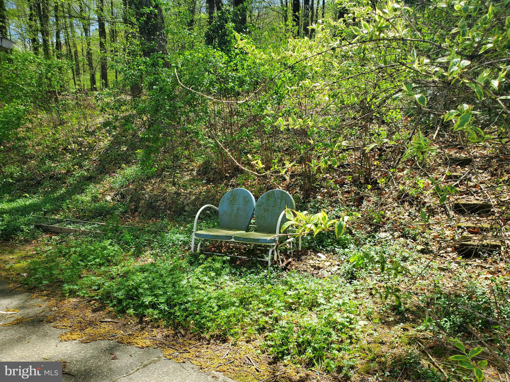 2638 Fairview Avenue Reading, PA 19606 - Photo 10 of 24 a green field with lots of bushes