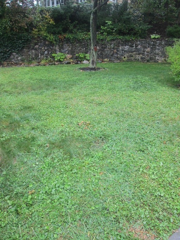 31 Jane Road Methuen, MA 01844 - Photo 19 of 19 Gallery Image 19