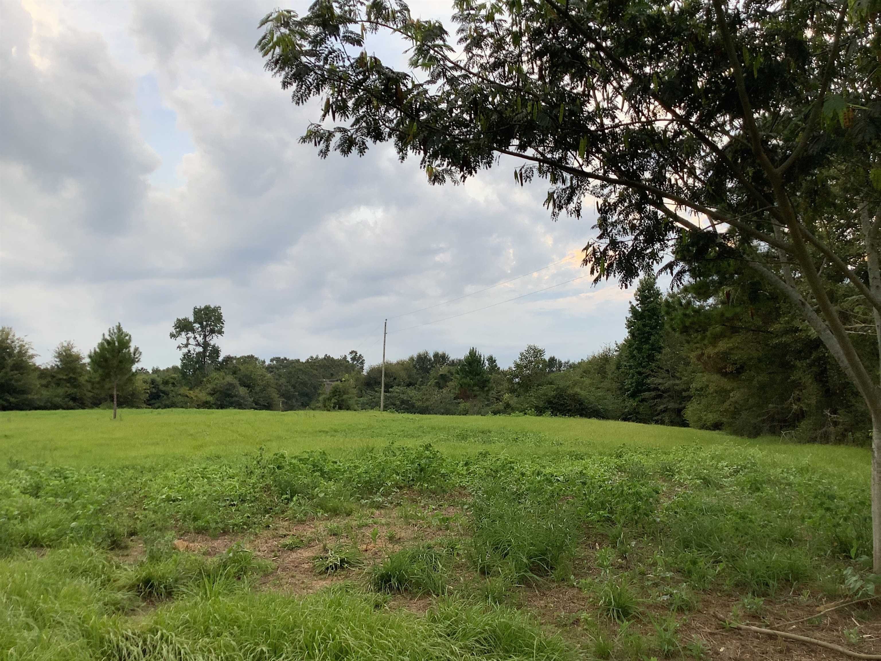 0 Old School Road Opp, AL 36467 - Photo 11 of 24 Gallery Image 11