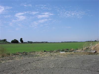 6447 Pedrick Road Dixon, CA 95620 - Photo 6 of 10 Gallery Image 6