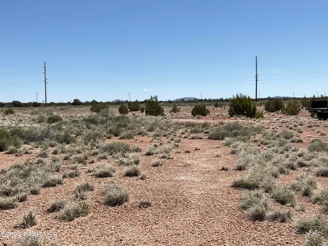 a view of a dry yard